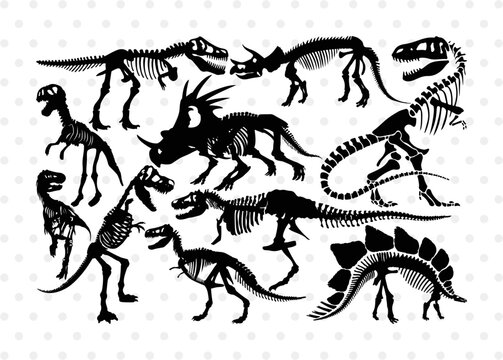 Dinosaur Silhouette, Dinosaur Skeleton SVG, Dinosaur Bones Svg, Jurassic Animal Svg, T-Rex Svg, Dinosaur Skeleton Bundle, SB00253