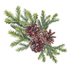 Fototapeta premium Watercolor green christmas tree branch with pine cone isolated on white background. Forest object for sticker or card. Hand-drawn clipart for new year celebration invite and wrapping or wallpaper