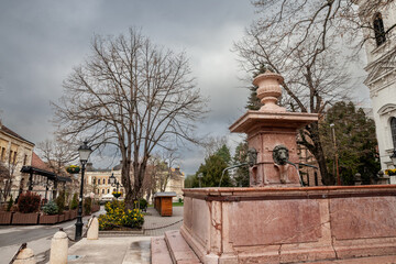 Four lions fountain (cesma cetiri lava) on trg Branka Radicevica, the main square of sremski karlovci, Voivodina, near Novi Sad. it's the main square of the city.