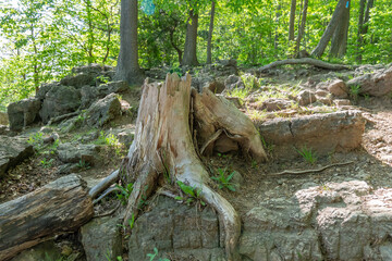 Rattlesnake Point Conservation Area. Home to a unique ecosystem with unique geological and ecological features, sheer limestone cliffs, crevice caves, talus slopes, and glacial deposits.