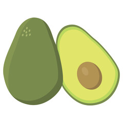illustration of avocado fruit