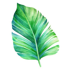Summer House Plant Art, Foliage Stalk Water Color Style Vibrant and Exotic, Emerald Green, AI Generated Art for Interior Design