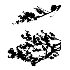 Vector set of plant and tree silhouette. Bush, branch.