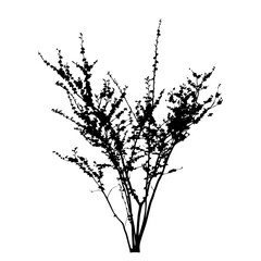 Vector set of plant and tree silhouette. Bush, branch.