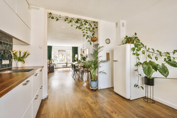 a kitchen and living room with plants on the wall in the center of the space, as seen from the doorway