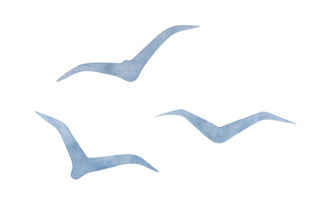 A set of flying birds, gray-blue gulls, painted in watercolor on paper, isolated on a white background. Element for design and decoration. Drawn by hand. Sea birds.