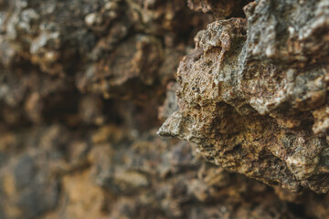 close up of a rock