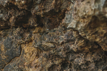 close up of a rock