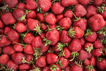Juicy red strawberries. Lots of natural strawberries close-up, top view. Macro photography of strawberry texture. Healthy and healthy food. Banner for a website. High quality photo