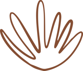 aesthetic abstract line