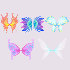 Fototapeta na wymiar Set of fairy wings, devil wings, angel wings, butterfly wings, bird wings