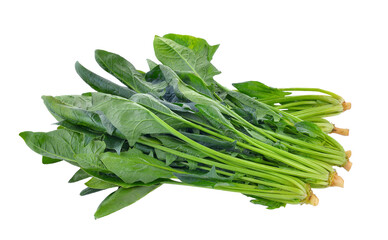 Spinach leaves isolated on transparent png