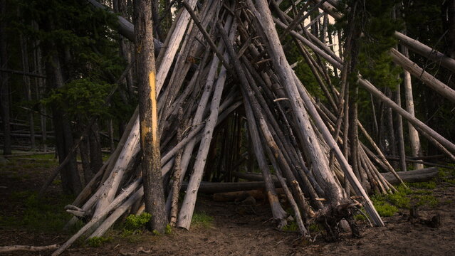 log hut