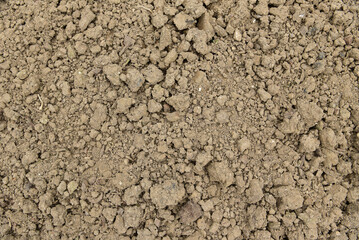 Soil of vegetable plot background