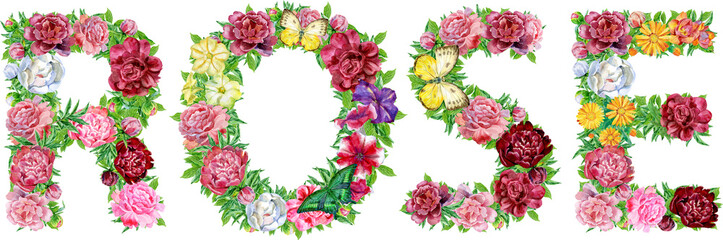 Word ROSE of watercolor flowers with butterflies