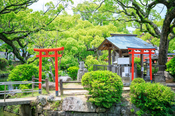 初夏の香椎宮　弁財天社　福岡県東区　Kashii Shrine in early summer. Fukuoka Pref, Higashi-ku.