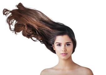 Hair care, wind and portrait of woman with beauty, keratin treatment and isolated in a transparent...