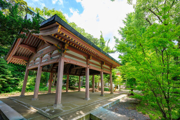 初夏の香椎宮　福岡県東区　Kashii Shrine in early summer. Fukuoka Pref, Higashi-ku.