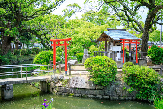 初夏の香椎宮　弁財天社　福岡県東区　Kashii Shrine in early summer. Fukuoka Pref, Higashi-ku.