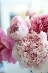 Bouquet of pink peonies at home on the table © Olga Tkacheva