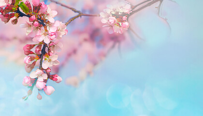 Cherry blossom in full blooming. Generative ai