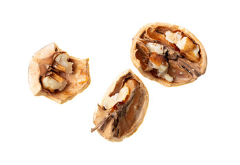 Walnut kernels isolated on white background with clipping path. Top view
