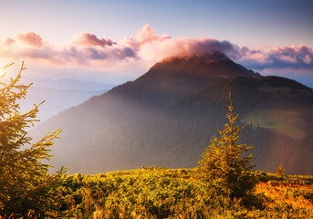 A splendid view of mountain peaks in the morning sunlight. Carpathian mountains, Ukraine, Europe.