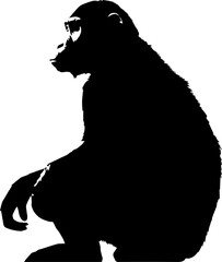 silhuette monkey animal images