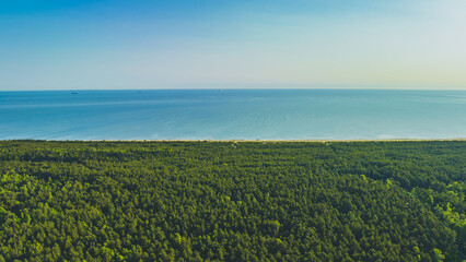 Fototapeta na wymiar The Baltic Sea and Sobieszewo Island in the early morning.