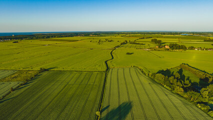 Drone view of the fields on Sobieszewo Island, Gdańsk in spring.

