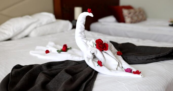 Gift in hotel room white towels with picture of swan on double bed with rose petals. Romantic arrangement for two in hotel