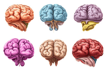 ui set vector illustration of brain isolate on white background back to school concept