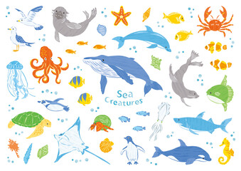 海の生き物　イラストセット