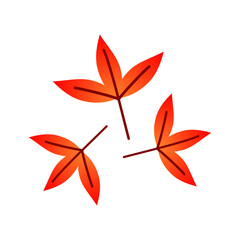 Red orange leave maple tree autumn season icon vector design