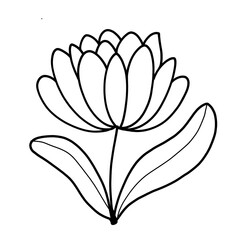 Flower isolated outline 
