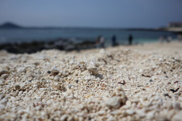 해안가 하얀 모래