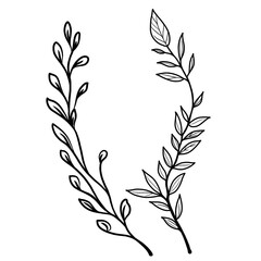 Fototapeta na wymiar Leaves and herbs outline illustration on white background 