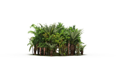 group of trees with a shadow on the ground, isolated on a white background, trees in the forest, 3D illustration, cg render