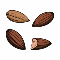 almonds vector drawing set