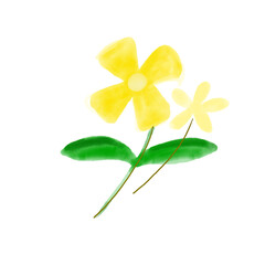 Cute flower watercolor isolated on white background vector illustration.