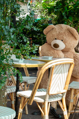 Paris cafe bear sitting table outside