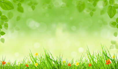 Fototapeta na wymiar spring background with grass and flowers