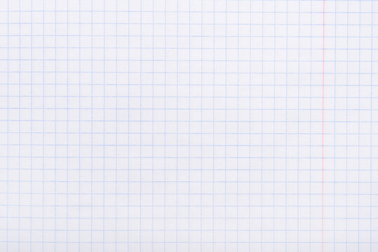 A white sheet in a cage from a notebook. - Powered by Adobe