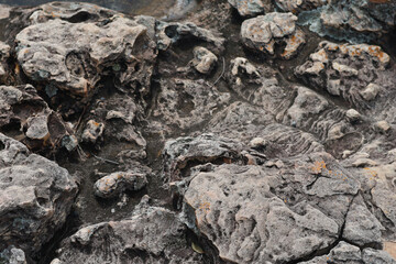 close up of the ground