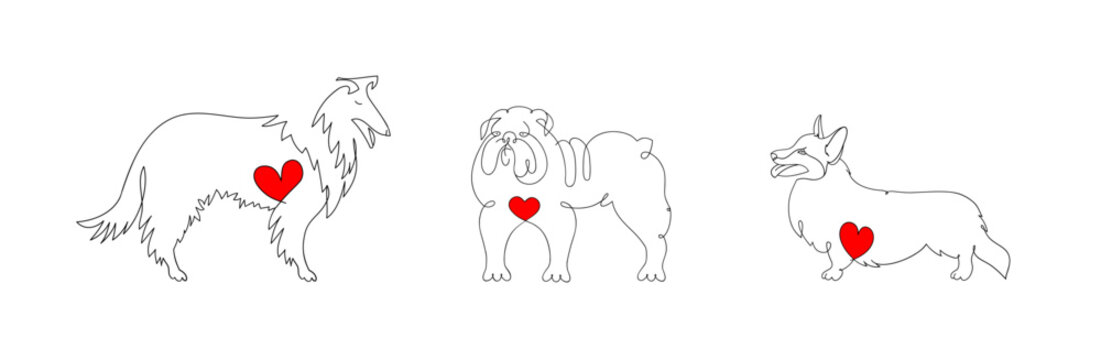 Corgi, collie and bulldog dogs in line art style with a heart on the chest.