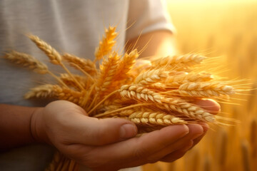 ears of wheat in the hands of a man on a wheat field. Generative AI.