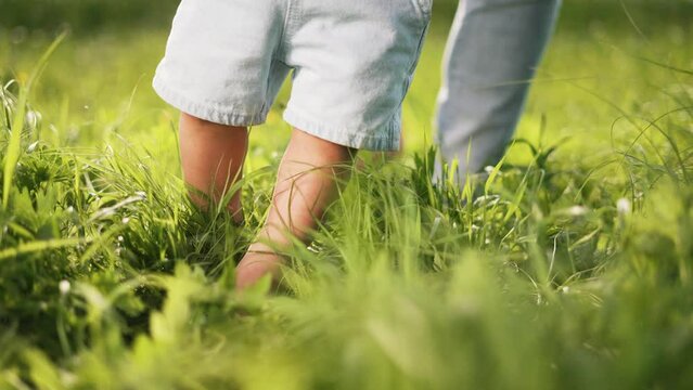 First steps of child in nature.Child,with help of his father, takes his first steps in park.Happy kid with dad on grass in park. toddler takes first steps in nature on green grass.Happy family concept