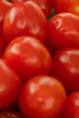 Cheese snacks in one container. Sliced cheese in different shapes. Cheese board for the celebration