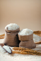 Rice grains in a cloth bag, rice in China, fruits of wheat, indoor close-up image