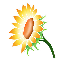 illustration of a sunflower